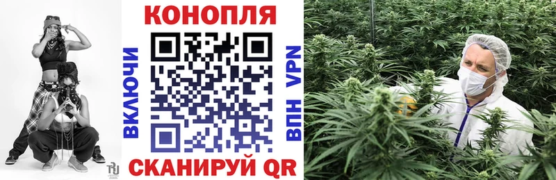 Купить наркотики Санкт-Петербург Гашиш МАРИХУАНА Меф мяу мяу