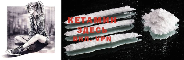 индика Новокубанск