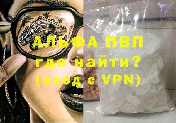 индика Новокубанск