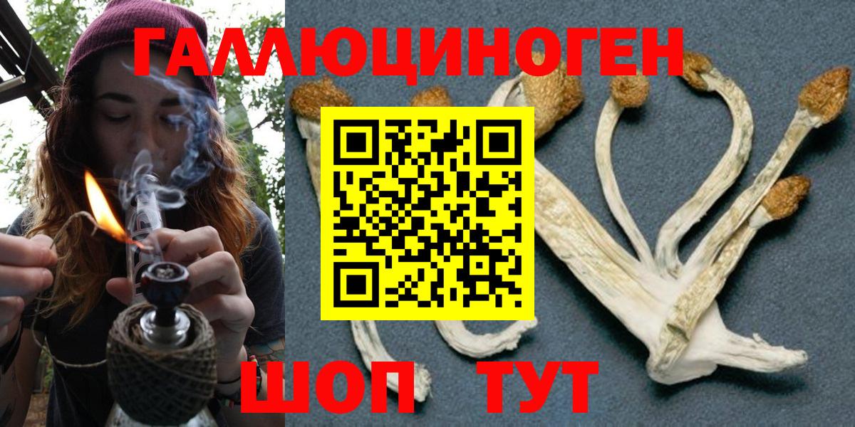 даркнет сайт  Вход с VPN  Санкт-Петербург  Псилоцибиновые грибы GOLDEN TEACHER 