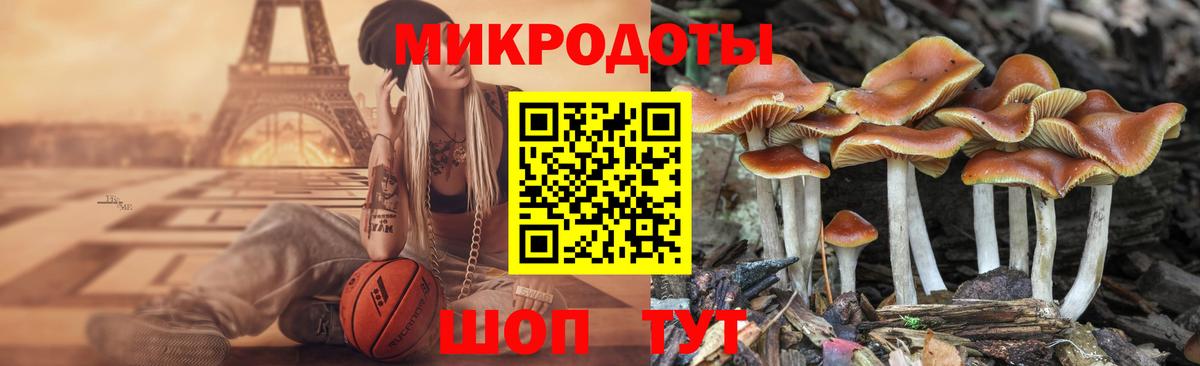 Псилоцибиновые грибы GOLDEN TEACHER Санкт-Петербург
