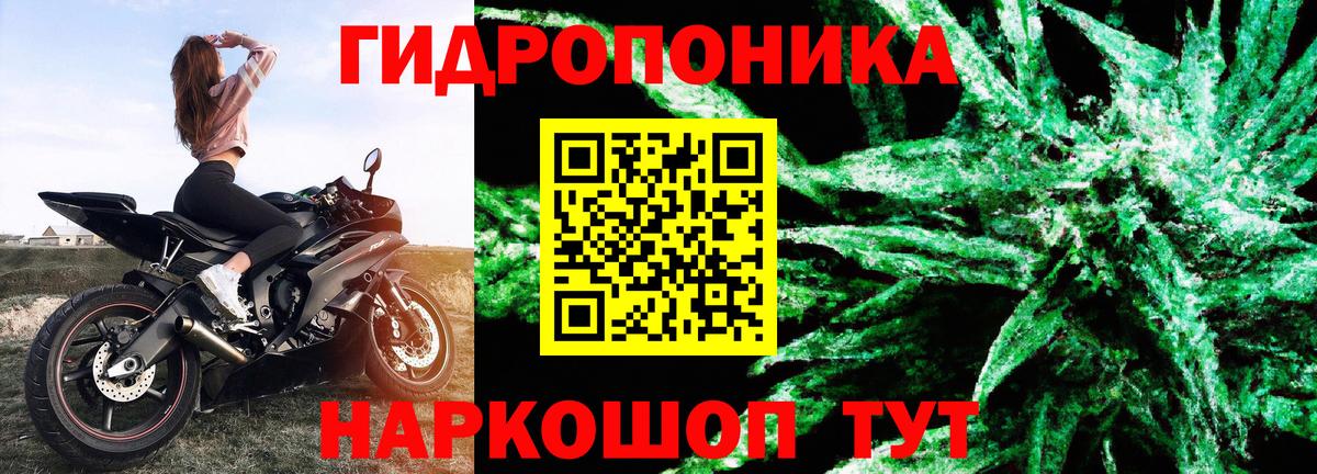 Каннабис Ganja Санкт-Петербург